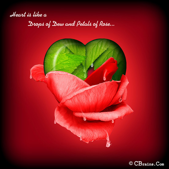 Love Nidhi 15